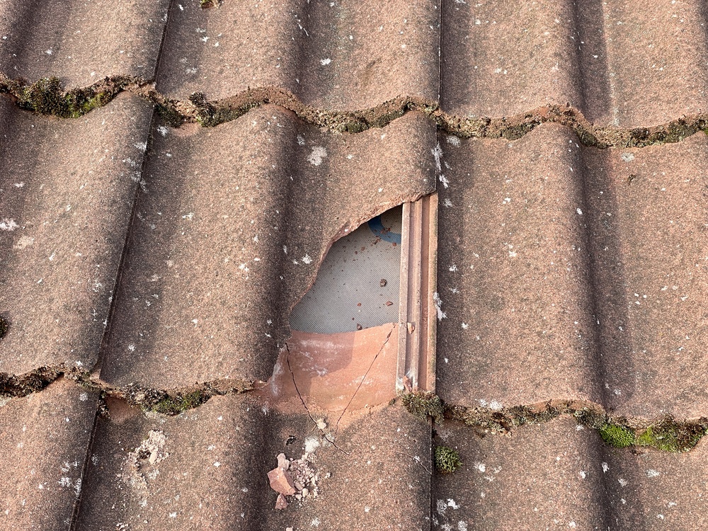 Roofing services in Guildford